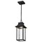Nuvo Austen Collection Outdoor Hanging Fixture LED SMART Starfish RGBTW, Matte Black Clear Water Glass 62/5996 - alternate 3